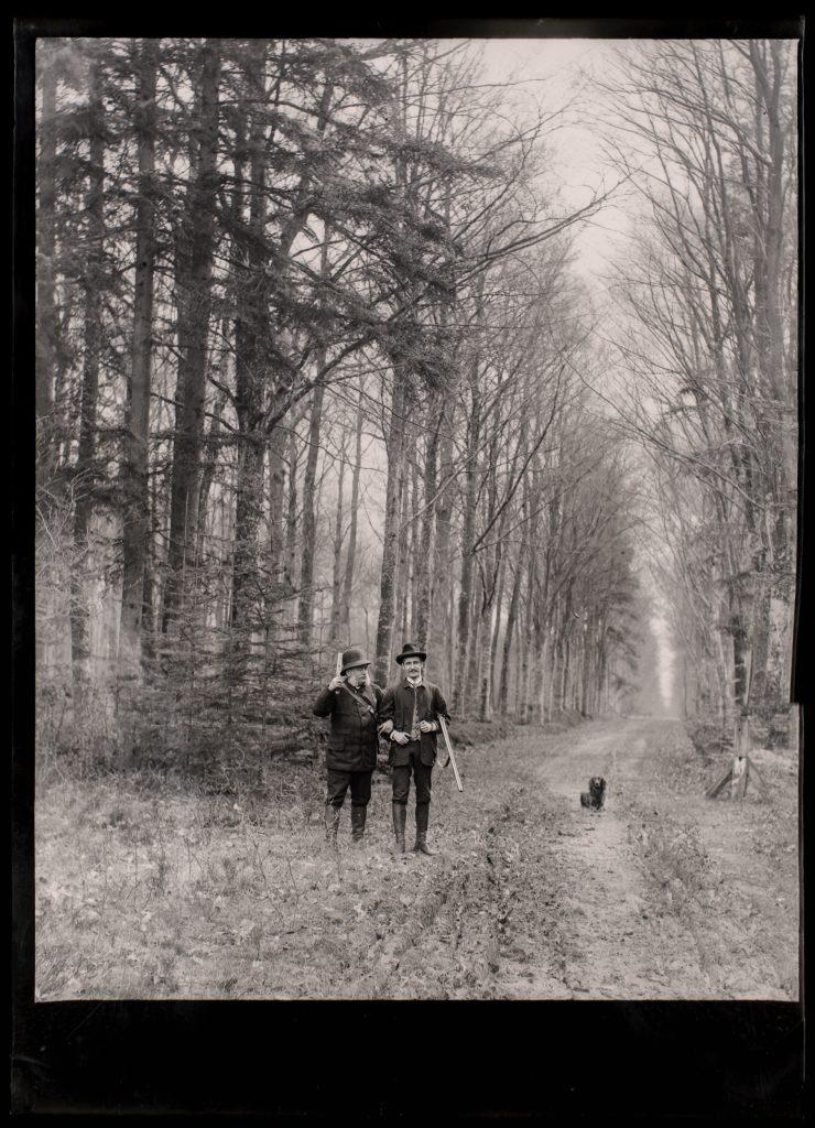 Pause on the Allée: Two friends and their spaniel linger on a straight forest avenue.